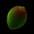 Thumbnail for version as of 12:41, 12 February 2005