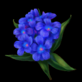 Bellflower.png