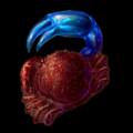 Fiddler Crab.png