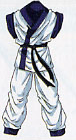 Karate Gi