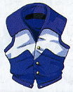 Blue Vest