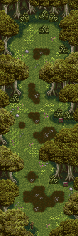 File:CT-CursedWoodsProto.png